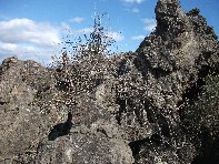iara Scorciavacca-20110306 058
